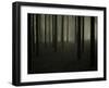 Buzztube-David Baker-Framed Photographic Print