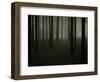 Buzztube-David Baker-Framed Photographic Print