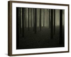 Buzztube-David Baker-Framed Photographic Print