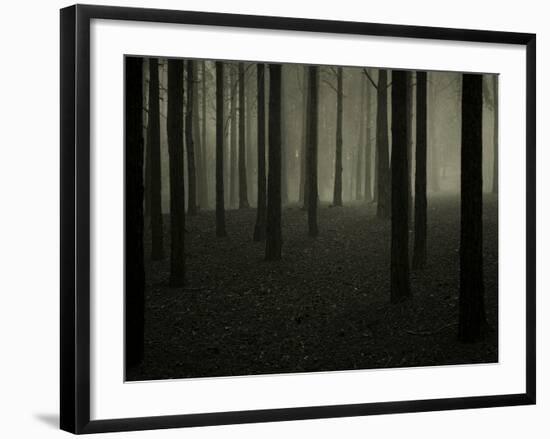 Buzztube-David Baker-Framed Photographic Print