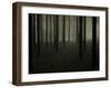 Buzztube-David Baker-Framed Premium Photographic Print