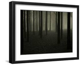 Buzztube-David Baker-Framed Premium Photographic Print