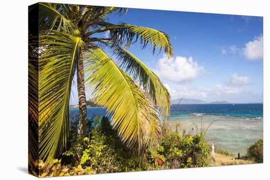 Bvi, Marina Cay Small Island Off Great Camanoe-Trish Drury-Stretched Canvas