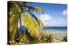 Bvi, Marina Cay Small Island Off Great Camanoe-Trish Drury-Stretched Canvas