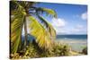 Bvi, Marina Cay Small Island Off Great Camanoe-Trish Drury-Stretched Canvas