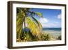 Bvi, Marina Cay Small Island Off Great Camanoe-Trish Drury-Framed Photographic Print