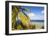 Bvi, Marina Cay Small Island Off Great Camanoe-Trish Drury-Framed Photographic Print