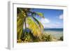 Bvi, Marina Cay Small Island Off Great Camanoe-Trish Drury-Framed Photographic Print