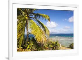 Bvi, Marina Cay Small Island Off Great Camanoe-Trish Drury-Framed Photographic Print