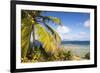 Bvi, Marina Cay Small Island Off Great Camanoe-Trish Drury-Framed Photographic Print