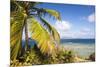 Bvi, Marina Cay Small Island Off Great Camanoe-Trish Drury-Mounted Photographic Print