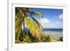 Bvi, Marina Cay Small Island Off Great Camanoe-Trish Drury-Framed Photographic Print