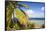 Bvi, Marina Cay Small Island Off Great Camanoe-Trish Drury-Framed Stretched Canvas