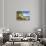 Bvi, Marina Cay Small Island Off Great Camanoe-Trish Drury-Stretched Canvas displayed on a wall