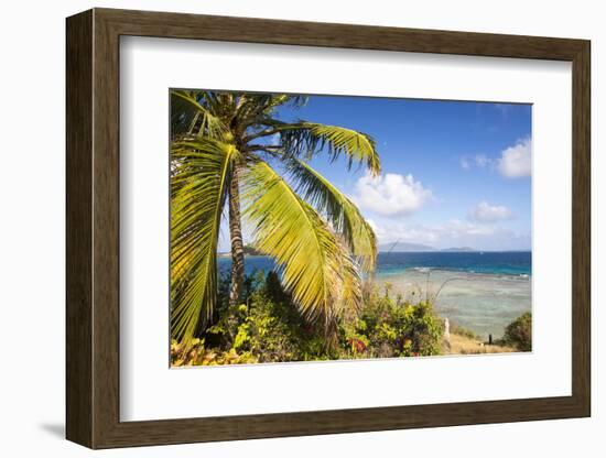 Bvi, Marina Cay Small Island Off Great Camanoe-Trish Drury-Framed Photographic Print