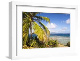 Bvi, Marina Cay Small Island Off Great Camanoe-Trish Drury-Framed Photographic Print