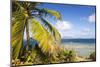 Bvi, Marina Cay Small Island Off Great Camanoe-Trish Drury-Mounted Photographic Print