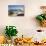 Bvi, Virgin Gorda, the Baths NP, Coastal Beach and Sail Boats-Trish Drury-Mounted Photographic Print displayed on a wall