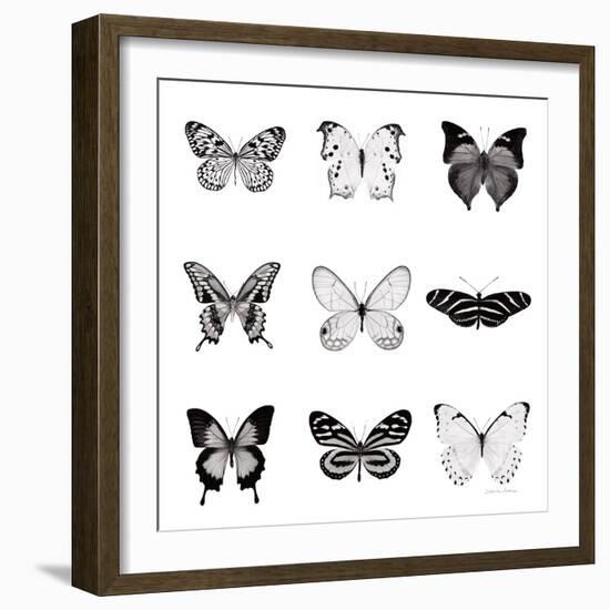 BW Butterfly Chart-Debra Van Swearingen-Framed Photographic Print