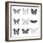 BW Butterfly Chart-Debra Van Swearingen-Framed Photographic Print