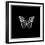 BW Butterfly on Black-Tom Quartermaine-Framed Giclee Print