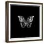 BW Butterfly on Black-Tom Quartermaine-Framed Giclee Print