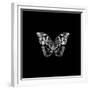 BW Butterfly on Black-Tom Quartermaine-Framed Giclee Print