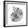 BW Decorated Nautilus-Pam Varacek-Framed Art Print