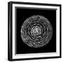 BW Fir Cone on Black-Tom Quartermaine-Framed Giclee Print