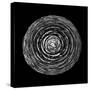 BW Fir Cone on Black-Tom Quartermaine-Stretched Canvas