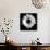 BW Flower on Black 01-Tom Quartermaine-Giclee Print displayed on a wall