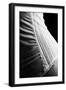 BW Lingerie-Tom Quartermaine-Framed Giclee Print