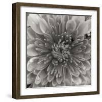 BW Mum Sq II-Erin Berzel-Framed Photographic Print