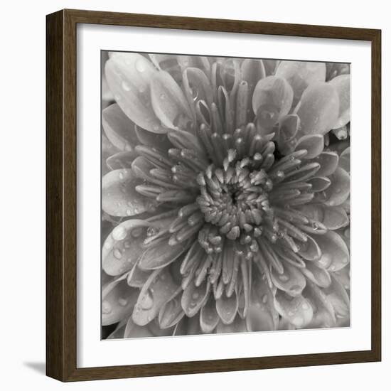 BW Mum Sq II-Erin Berzel-Framed Photographic Print