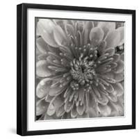 BW Mum Sq II-Erin Berzel-Framed Photographic Print