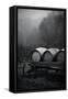 BW Oregon Wine Country II-Erin Berzel-Framed Stretched Canvas