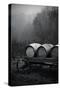 BW Oregon Wine Country II-Erin Berzel-Stretched Canvas