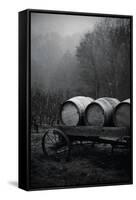 BW Oregon Wine Country II-Erin Berzel-Framed Stretched Canvas