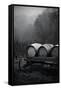 BW Oregon Wine Country II-Erin Berzel-Framed Stretched Canvas