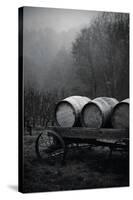 BW Oregon Wine Country II-Erin Berzel-Stretched Canvas