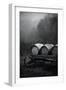 BW Oregon Wine Country II-Erin Berzel-Framed Photographic Print