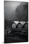 BW Oregon Wine Country II-Erin Berzel-Mounted Photographic Print