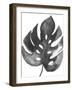 BW Palm II-PI Studio-Framed Art Print