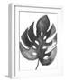 BW Palm II-PI Studio-Framed Art Print