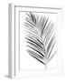 BW Palm IV-PI Studio-Framed Art Print