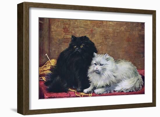 BW Persian Cats-null-Framed Art Print