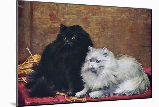 BW Persian Cats-null-Mounted Art Print