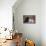 BW Persian Cats-null-Stretched Canvas displayed on a wall