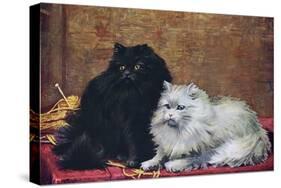 BW Persian Cats-null-Stretched Canvas