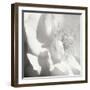 BW Rose Sq I-Alan Hausenflock-Framed Photographic Print